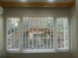 esenlerde-zebra-perdeciler